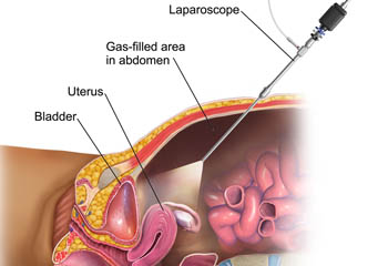 abdomen Surgeon in jalandhar