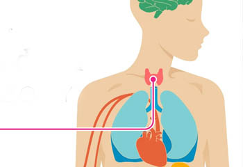 Breast and Thyriod doctor in jalandhar