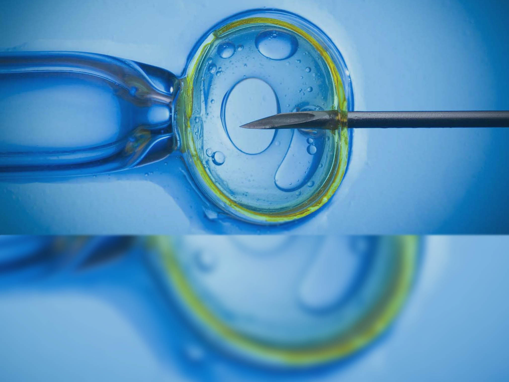 Infertility Treatment in Jalandhar